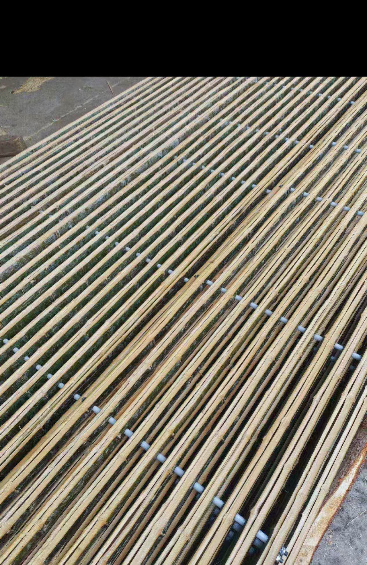 高价求购二手竹子羊床，支付微信（15269230089）可购买